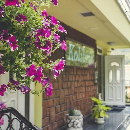 Kolibrik Bardejovské Kúpele